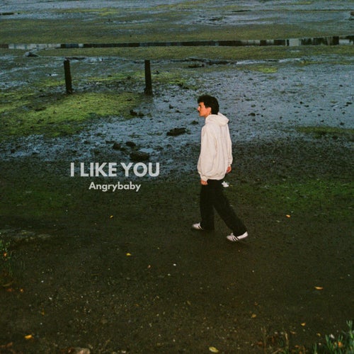 I LIKE YOU