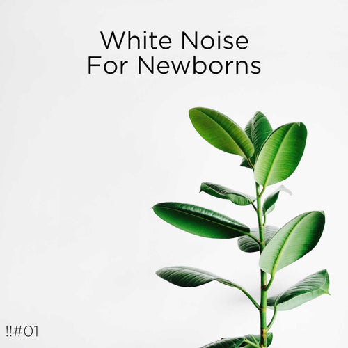 !!#01 White Noise For Newborns