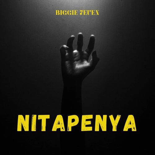 NITAPENYA