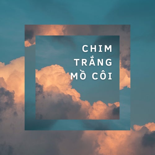 Chim Trắng Mồ Côi