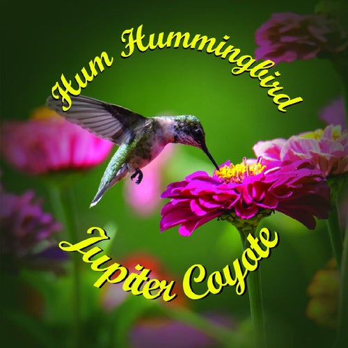 Hum Hummingbird