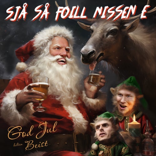 Sjå så foill nissen e