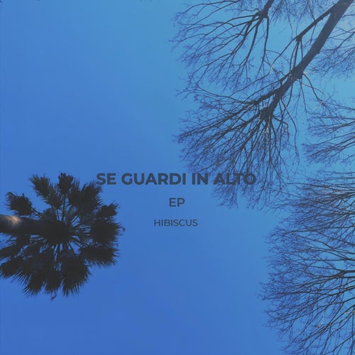 Se Guardi in Alto