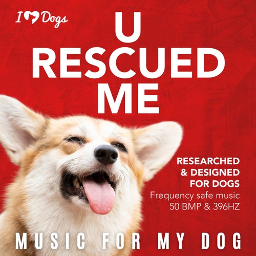 Music For My Dog Music and DJ Edits on Beatsource