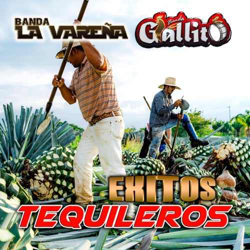 Exitos Tequileros