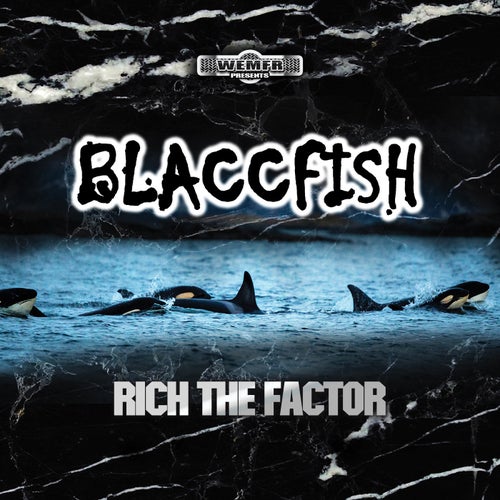 Blaccfish