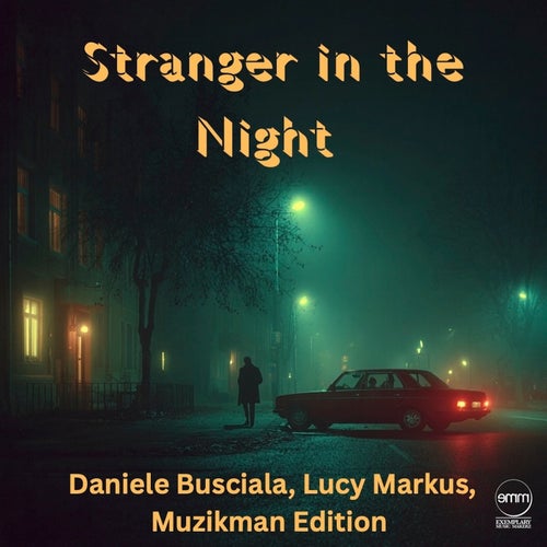 Stranger In The Night
