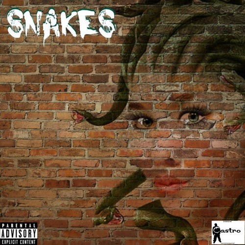 Snakes (feat. Nucklez Castro & Jay Rocc) - Single