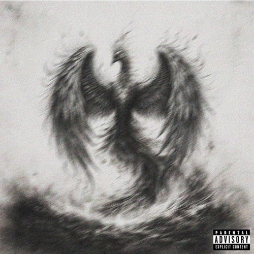 Release of the week