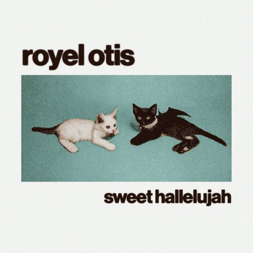 Release of the week