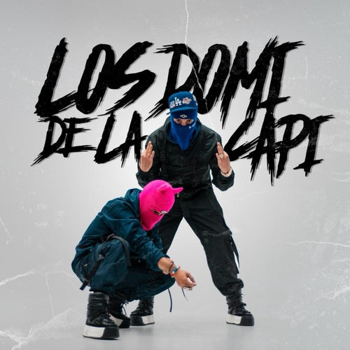 LOS DOMI DE LA CAPI