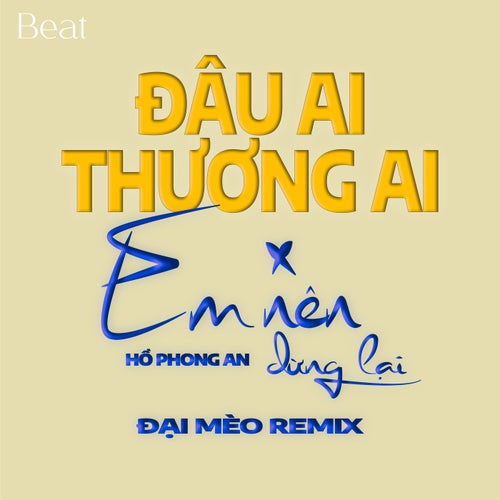 Mashup Đâu Ai Thương Ai x Em Nên Dừng Lại (Beat Đại Mèo Remix)