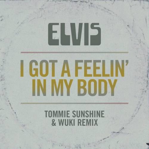 I Got a Feelin' in My Body (Tommie Sunshine & Wuki Remix)