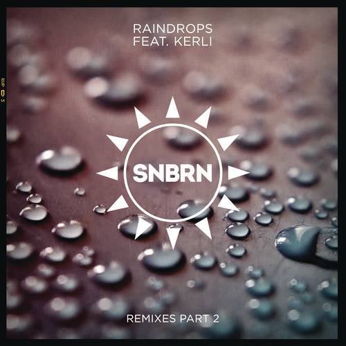 Raindrops (Remixes Part 2)