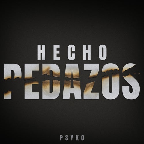 HECHO PEDAZOS
