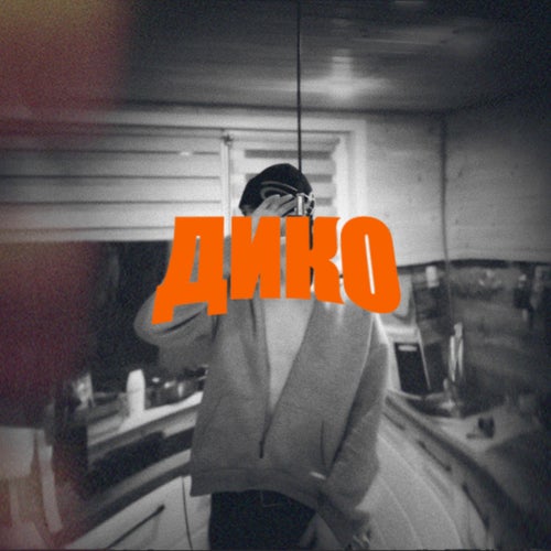 Дико