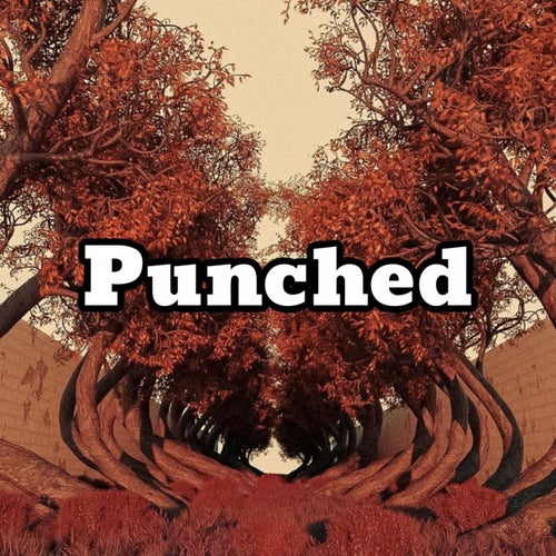 Punched