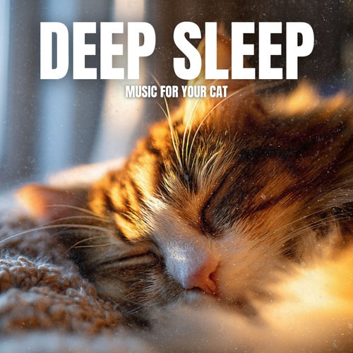 Deep Sleep Music for Your Cat