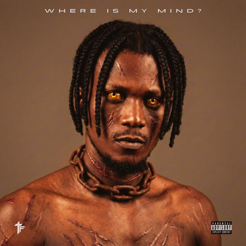 Where Is My Mind (Remix)