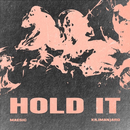 Hold It