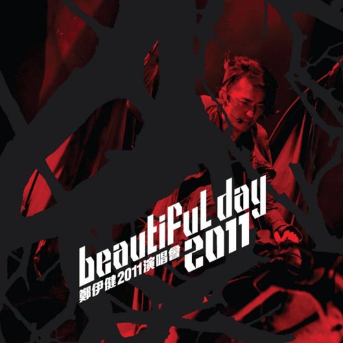 Beautiful Day 2011 Concert