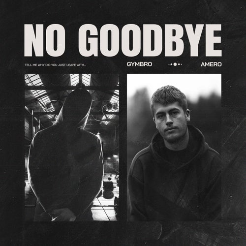 No Goodbye