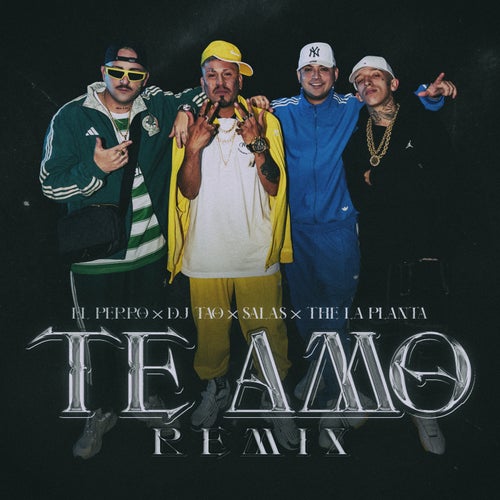 TE AMO RMX (feat. Salastkbron)