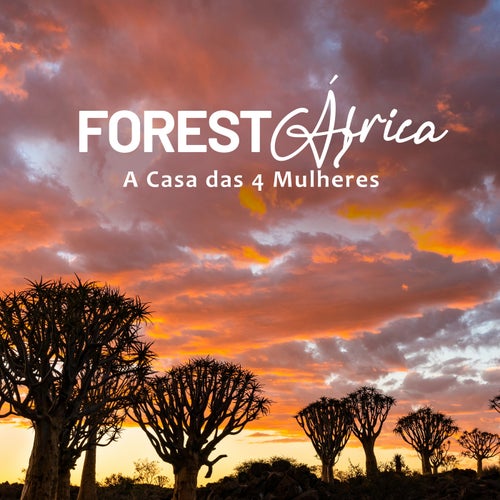 Forest África