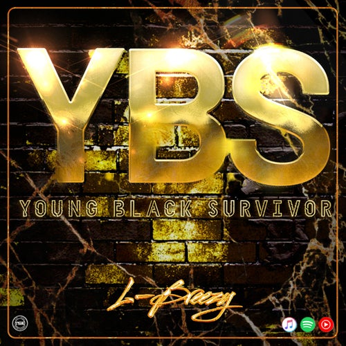 Y.B.S