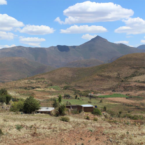 Dilala