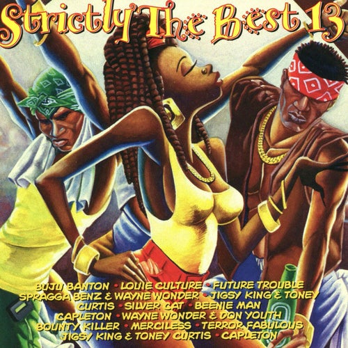 Strictly The Best Vol. 13