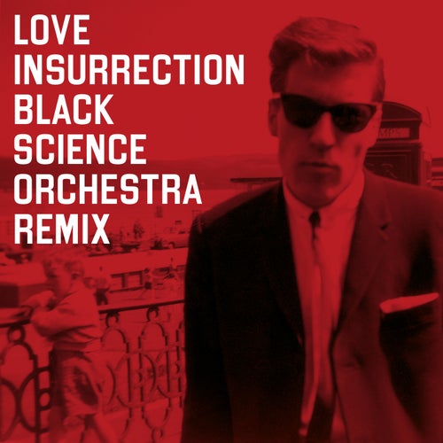 Love Insurrection (Black Science Orchestra Remix)