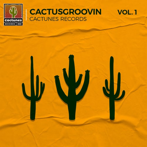 V.A. Cactusgroovin, Vol. 1