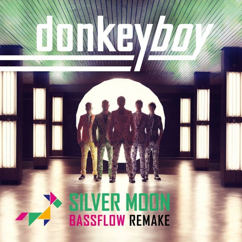 Silver Moon Bassflow Remake