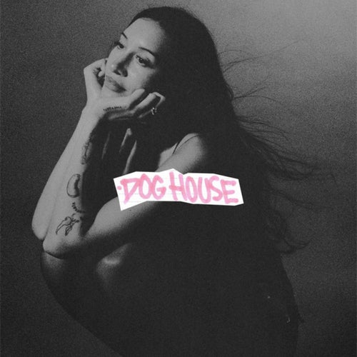 DOG HOUSE
