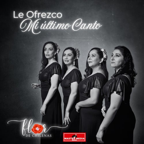 Le Ofrezco Mi Ultimo Canto