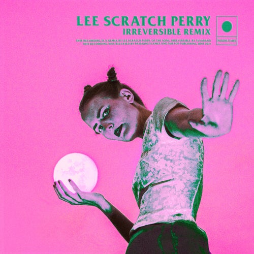 Irreversible (Lee "Scratch" Perry Remix)