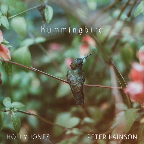 Hummingbird