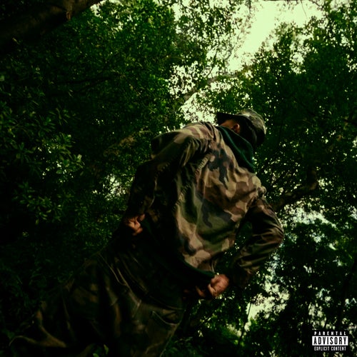 Release of the week