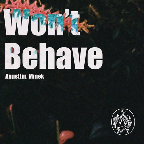 Release of the week