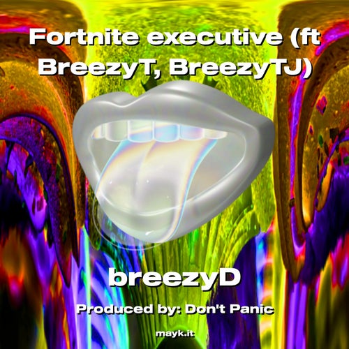 Fortnite executive (ft BreezyT BreezyTJ)