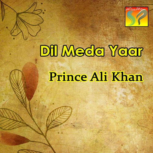 Dil Meda Yaar