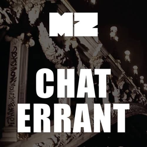 Chat errant