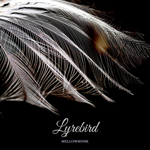 Lyrebird