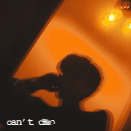 can't do