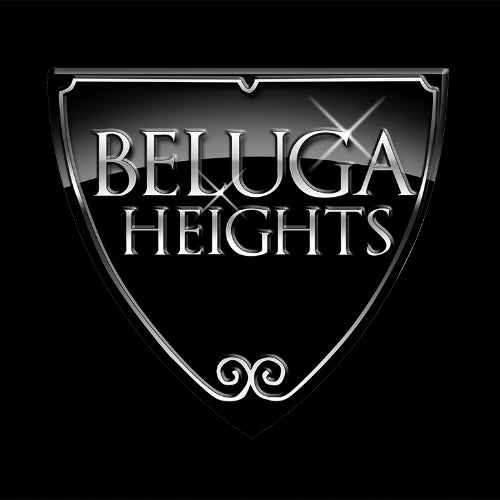 Beluga Heights/Warner Records Profile