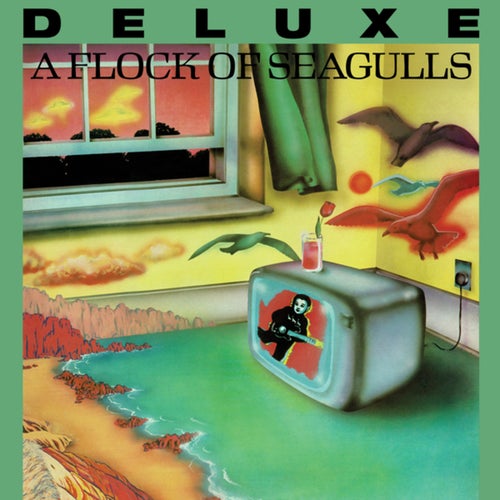 A Flock of Seagulls