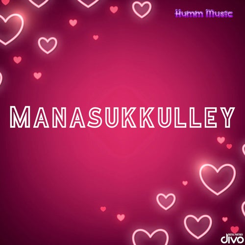 Manasukkulley