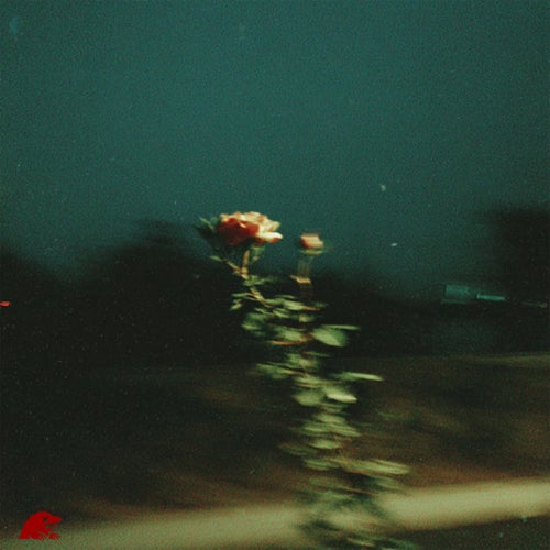 Next to Silence