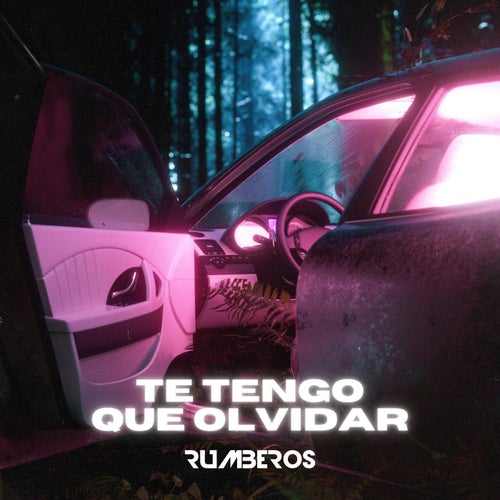 Te Tengo Que Olvidar